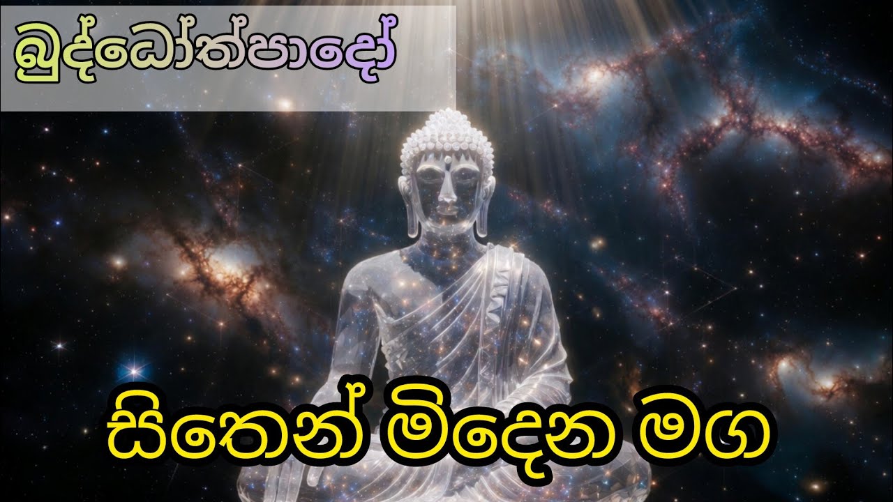 සිතෙන් මිදෙන මග 🙏🙏