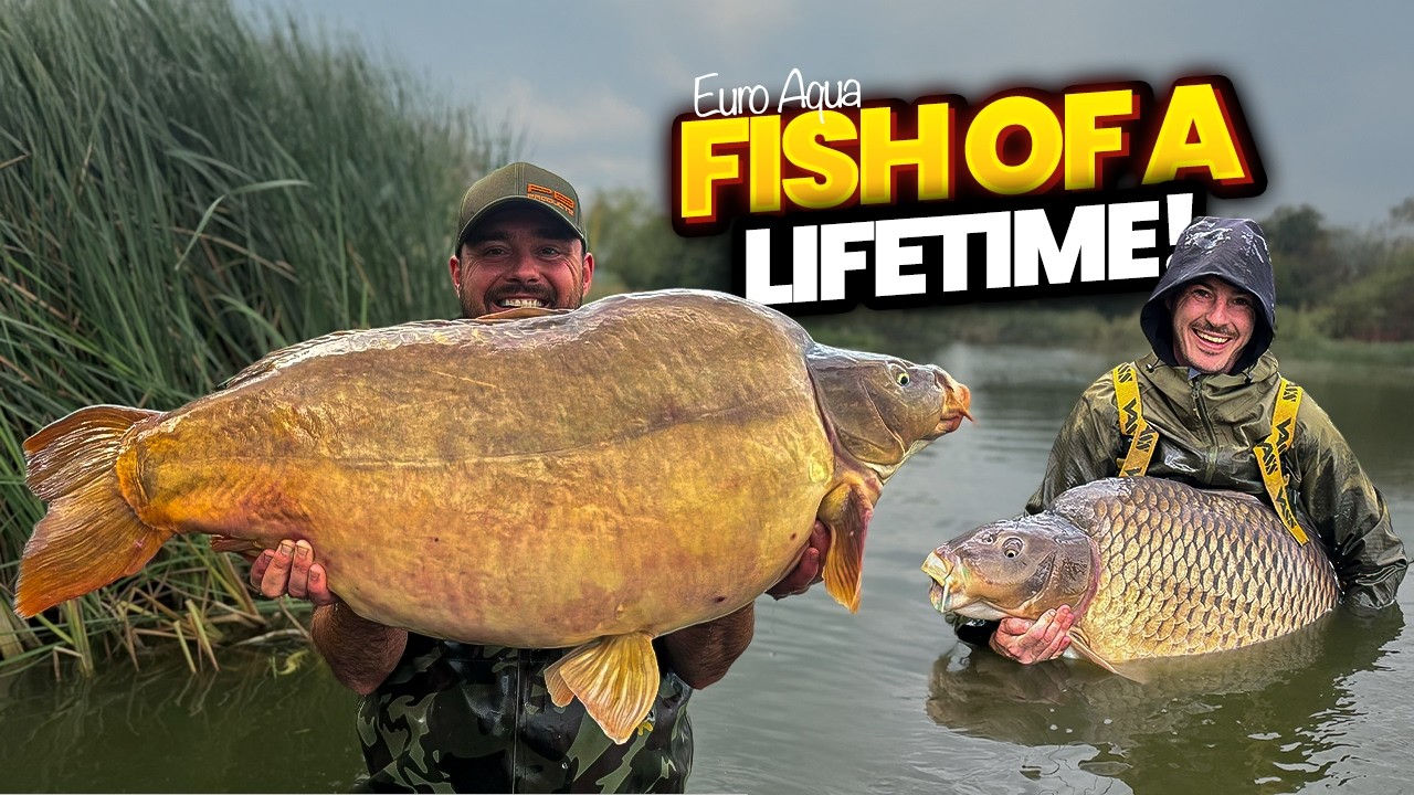 We CRACKED Euro Aqua… 17 Fish Over 50lb + TWO 80s (INSANE)