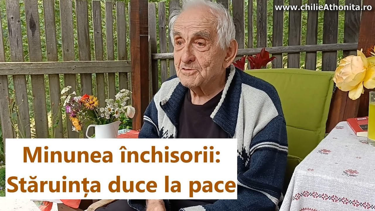 Minunea închisorii: Stăruința duce la pace - dl. Demostene Andronescu
