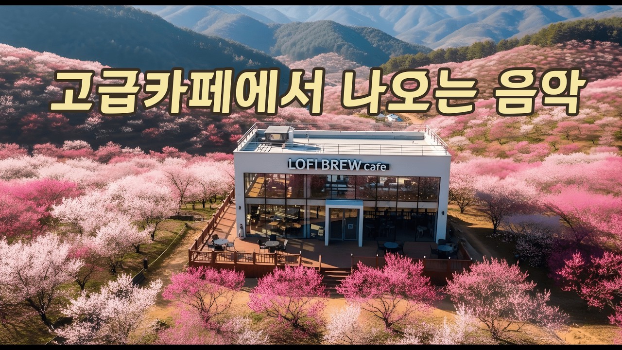 🧣 새로운 출발 · 봄을 만끽하는 행복한 음악 |  Study · Work · Deep Focus   중간광고없음🔕