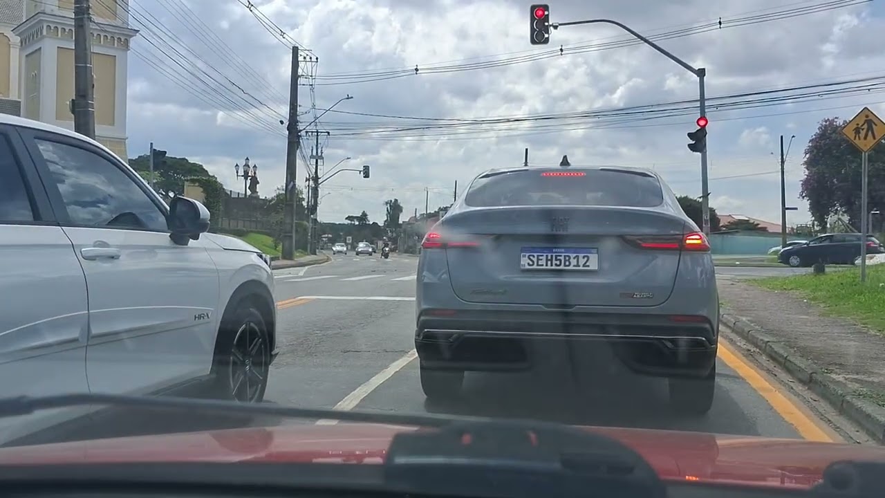 Atenção pra este vídeo provando que os cachorros caramelo são muito mais amigos 