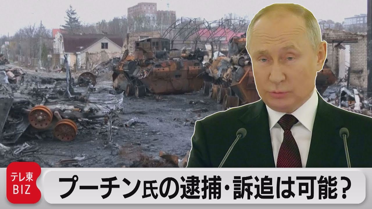 ウクライナでの“大規模虐殺”でプーチン大統領を裁けるか…「戦争犯罪」訴追の壁【TV TOKYO International】（2022年4月8日）
