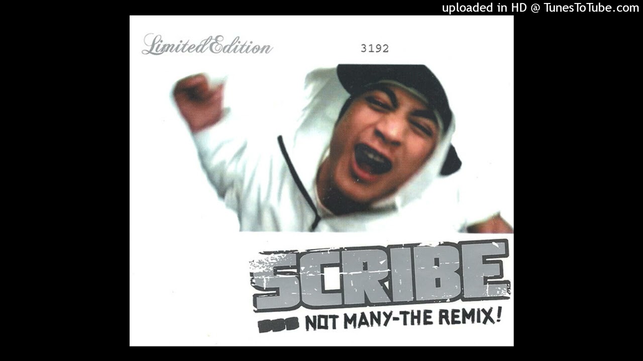 Scribe - Not Many (Instrumental)