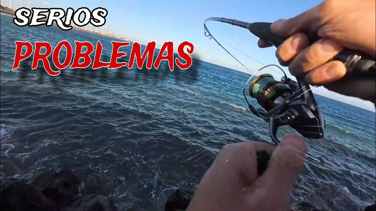 30KG de PESCADO ESTE muelle ESTA LLENO DE DEPREDADORES