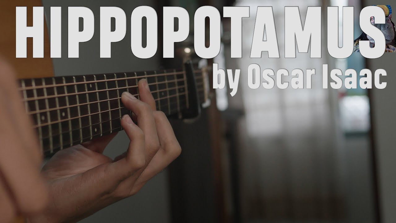 The Hippopotamus Song on Guitar