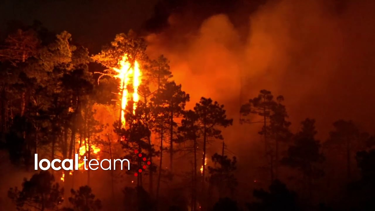 Casarza Ligure, prosegue l'incendio: alberi divorati dalle fiamme