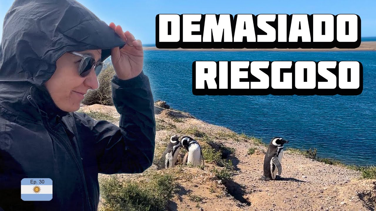 🐧 PENÍNSULA VALDES Argentina ¿Vale la pena realmente? | Año1E30