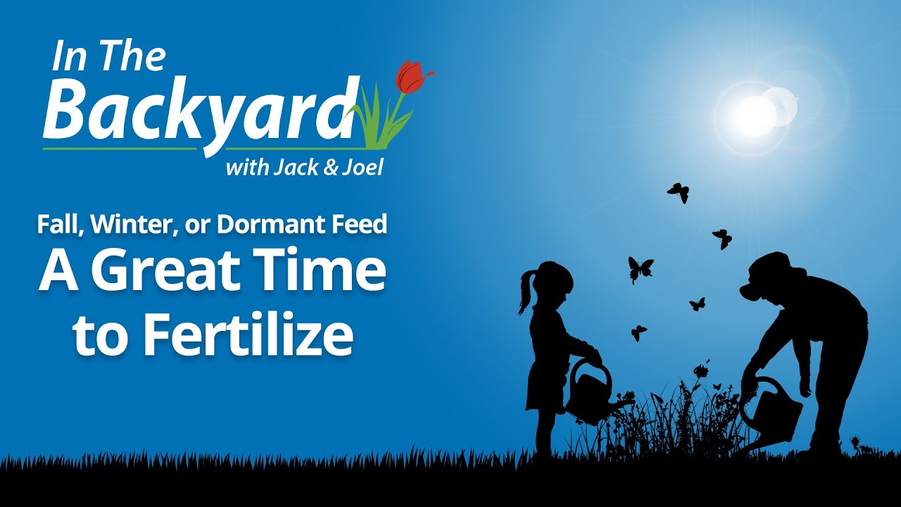 In The Backyard - Fall, Winter or Dormant Feed - A Great Time to Fertilize