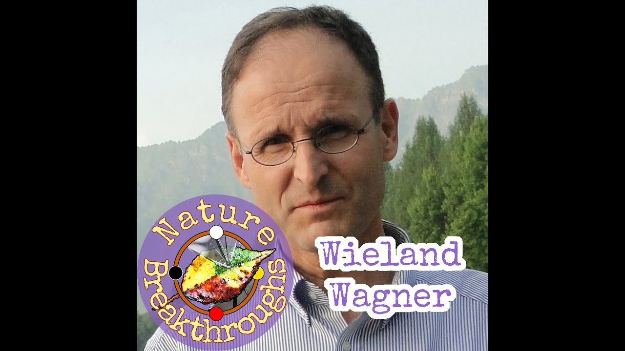 Nature Breakthroughs - Wieland Wagner
