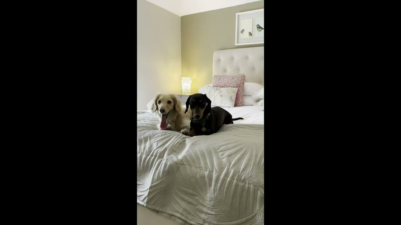 Puddle Duck Cottages - Award Winning Dog Friendly Holiday Cottages, Shropshire