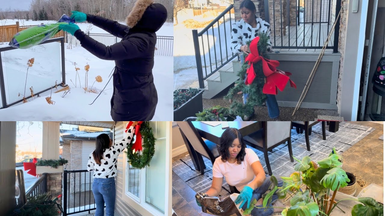 Por fin! Quite la decoración de navidad + Sembré los tulipanes en la nieve + Trasplante las plantas