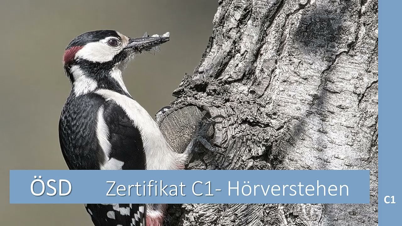 Hörverstehen Niveau C1 ÖSD Modellsatz Teil 2