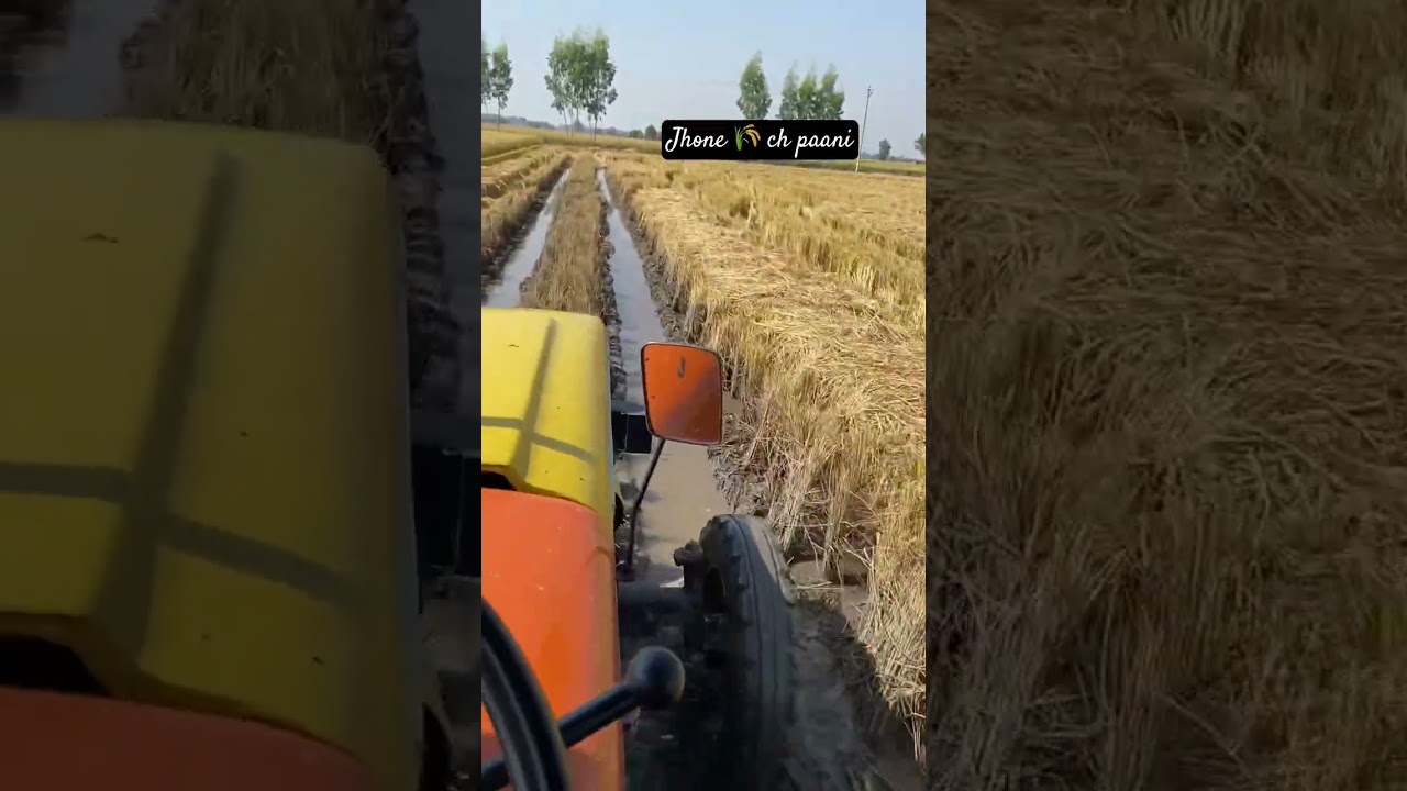 Jhone ch paani 🌾#shorts #farming #tractor #shortvideo #5911 #trending