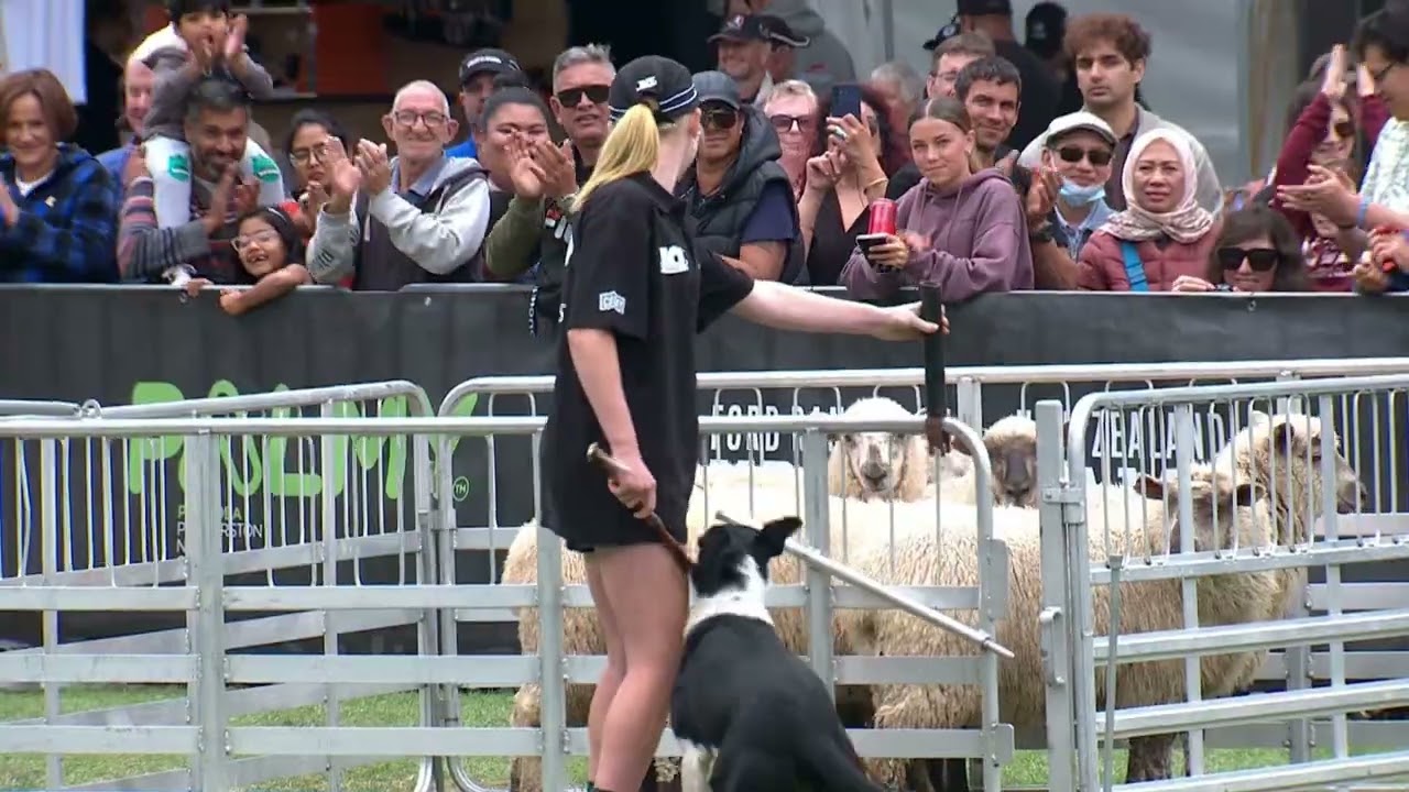 Sam Strahan Memorial Sheep Dog Trials with PTS Logistics