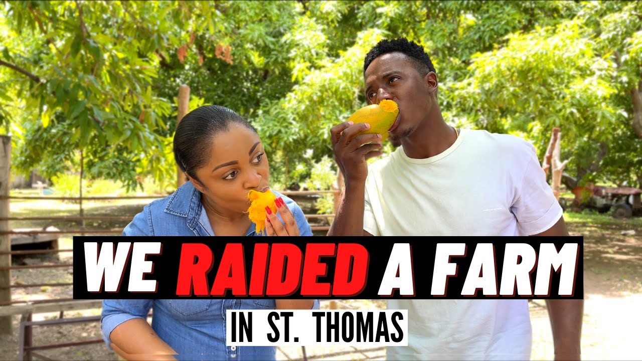 WE RAIDED A FARM | THE VIRGOS