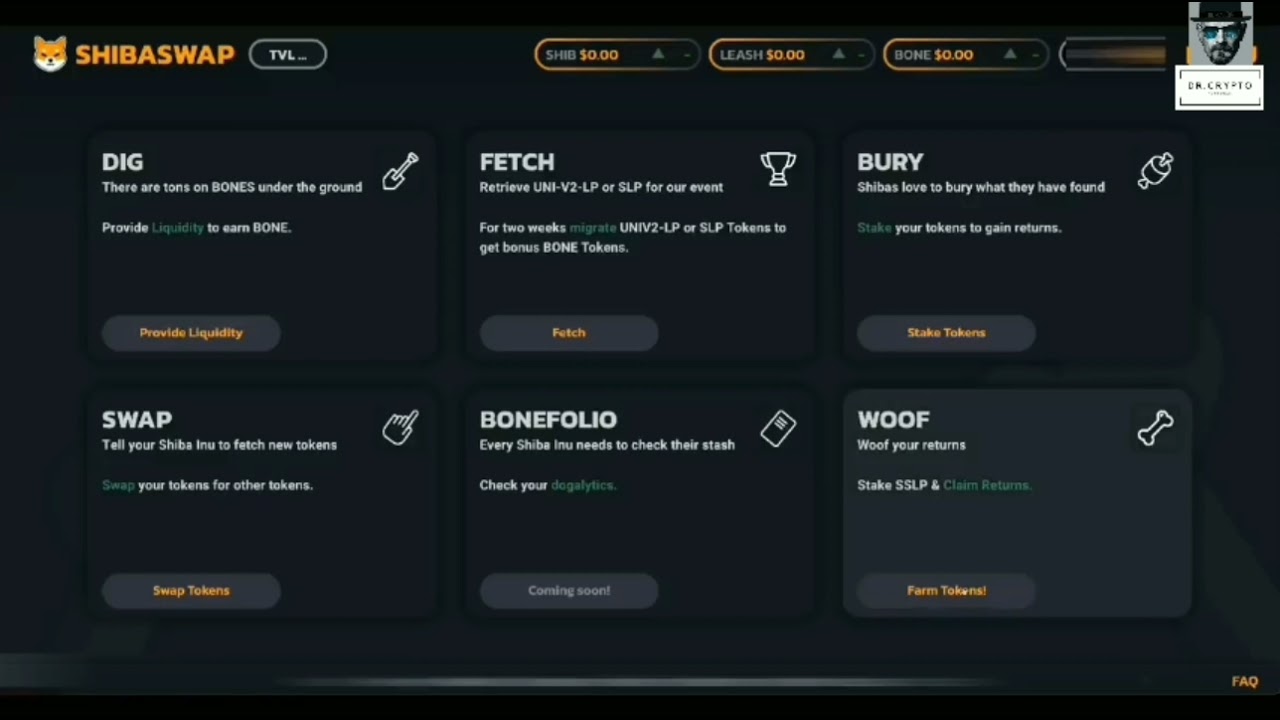 SHIBASWAP TUTORIAL PART 1