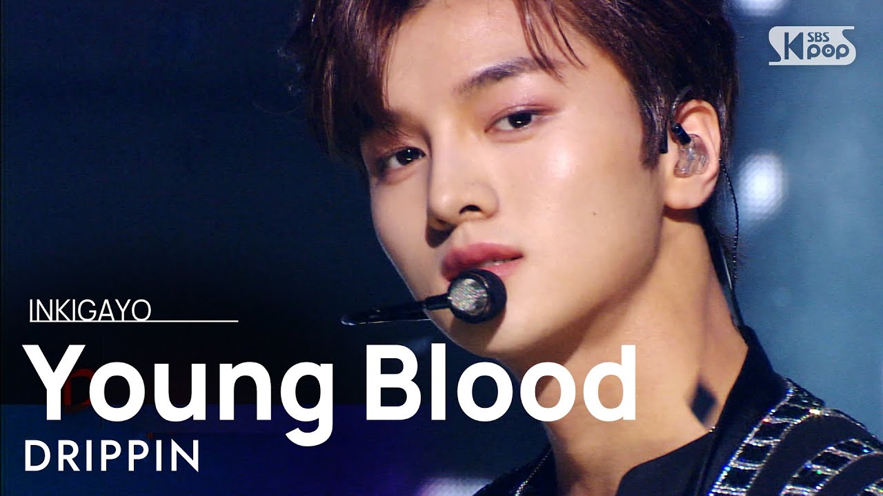 DRIPPIN(드리핀) - Young Blood @인기가요 inkigayo 20210321