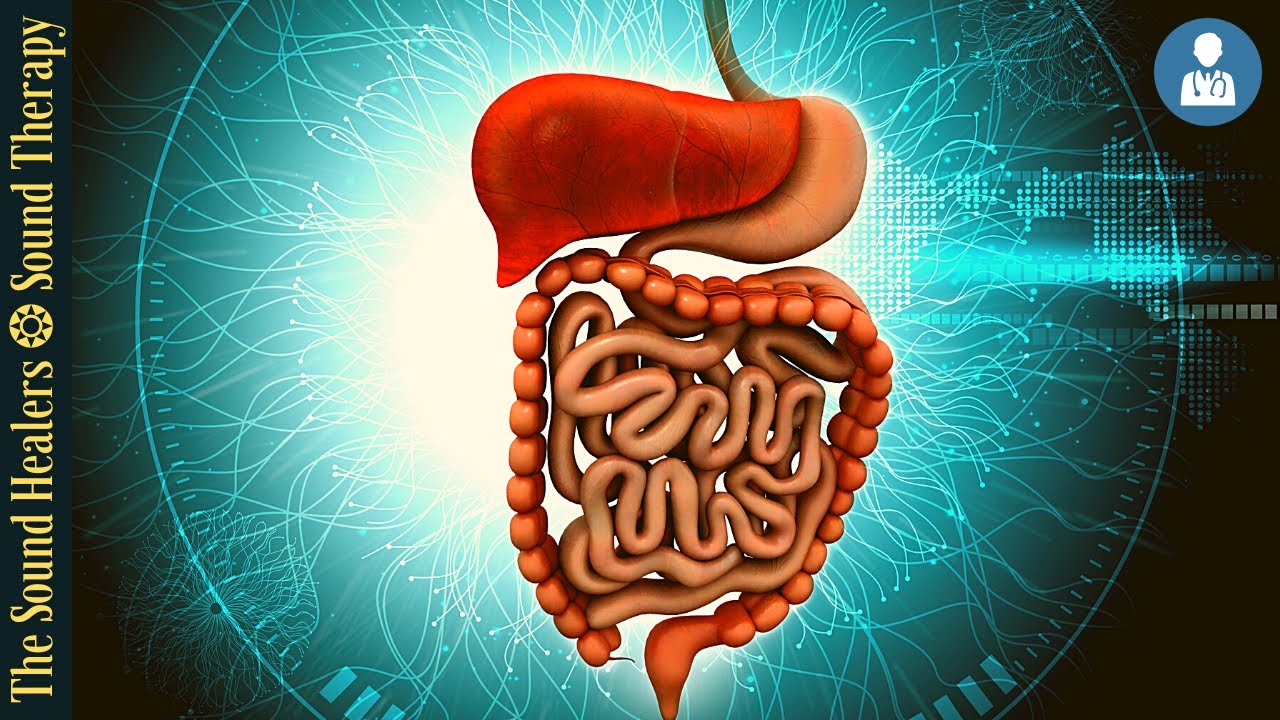 STOMACH COLON & DIGESTION I  Sound Therapy + RIFE Frequencies I Exploring Energy Frequencies
