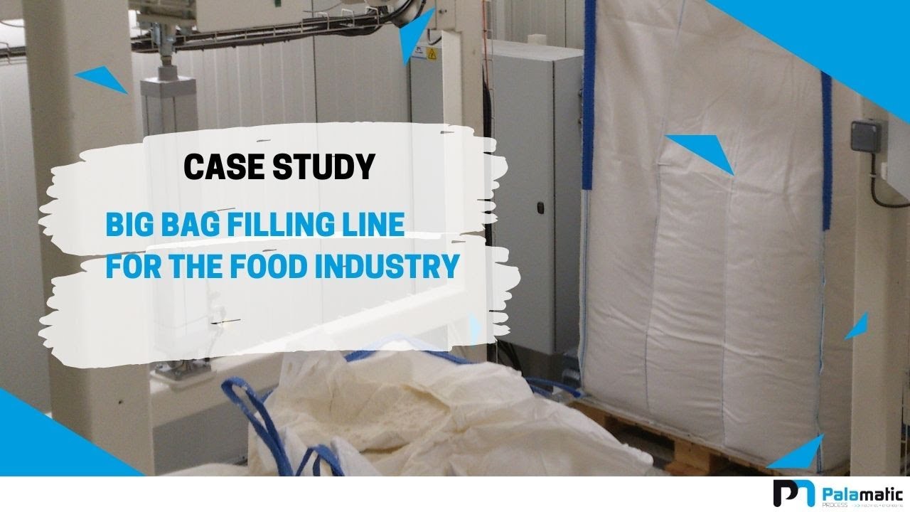 Big bag filling machine - FlowMatic® 04 - Automatic unit | Palamatic Process Inc.