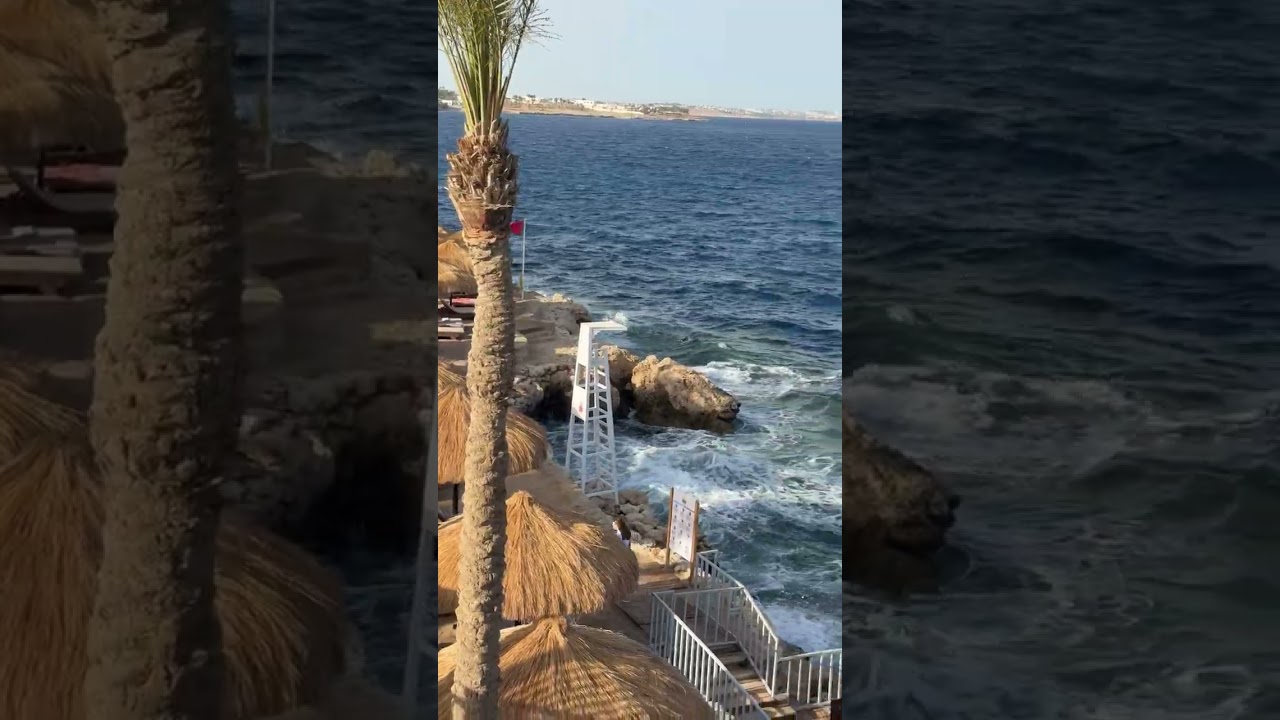 The Grand Hotel Sharm El Sheikh 5*