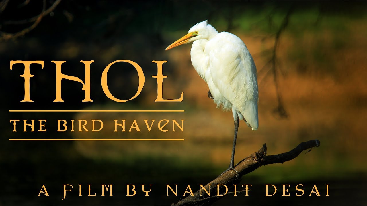 THOL: The Bird Haven | Documentary by Nandit Desai