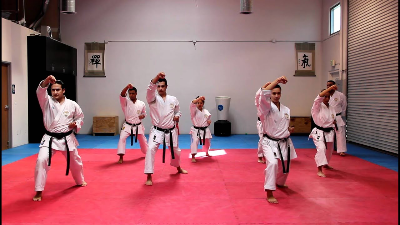 Pinan Nidan - ピ ン ア ン平安二段 - JAPÓN KARATE-DO INOUE-HA SHITO-RYU KEISHIN-KAI - #karate #olympics  #usa