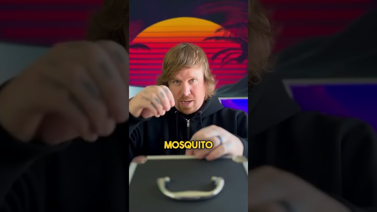bobby pin mosquito