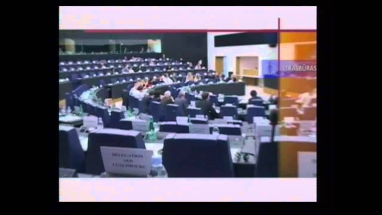 Nacionalinė pamoka &bdquo;Europos Parlamentas: veikla, atstovai, galimybės