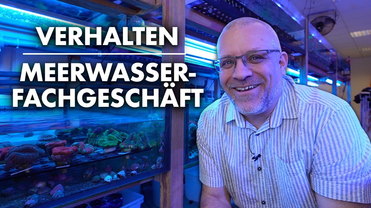 So verhältst du dich richtig im MEERWASSER-FACHGESCHÄFT