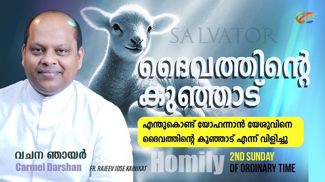 ദൈവത്തിൻ്റെ കുഞ്ഞാട് 2nd Sunday of Ordinary time വചന ഞായർ #homily