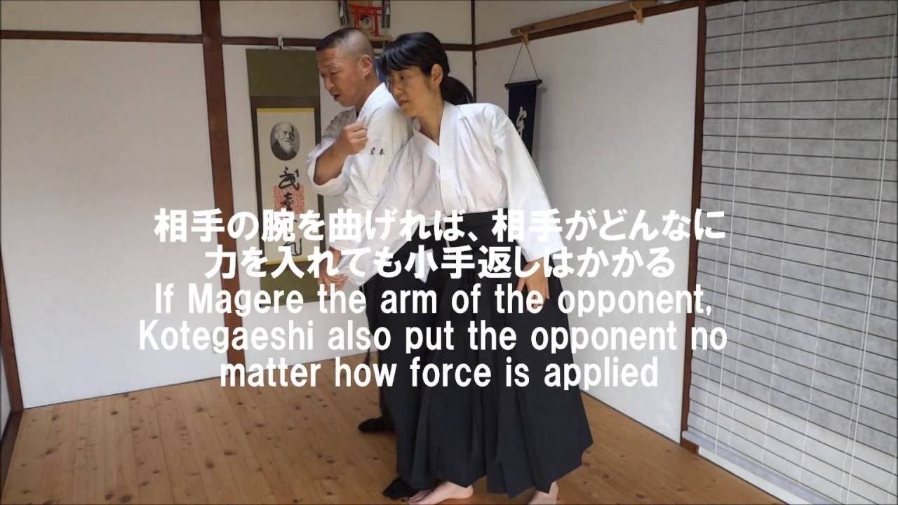 Iwama ryu aikido Kotegaeshi technique ～Iwamoto sensei～