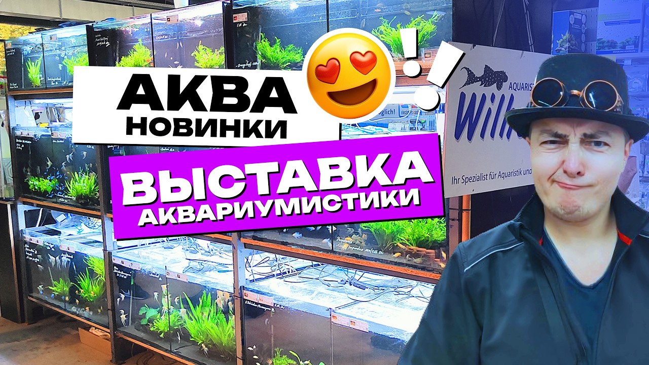 Очень интересная и крутая выставка аквариумистики, которая запомнится надолго! 4К