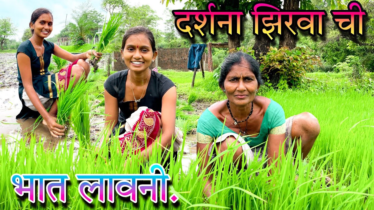 दर्शना झिरवा ची भात लावनी|Darshana Zirva chi bhat lavni|video nakki baga.