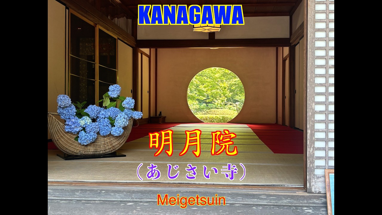 ねながら見るJAPAN 一度は見たい鎌倉明月院（あじさい寺）
