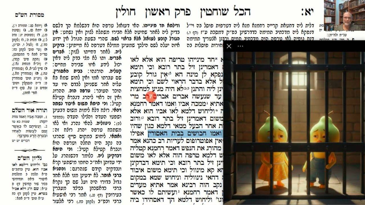דף יומי מסכת חולין דף יא Daf yomi Masechet Chulin page 11  ע