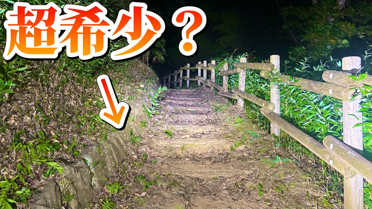 一歩違えば大発見だったかもしれない…
