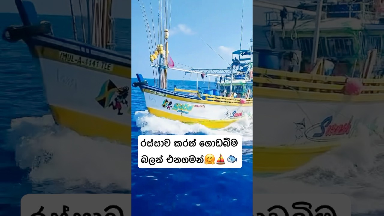 සුරේශ් කුඩාවැල්ල ⛵️❤️කොච්චර බෝට්ටු තිබ්බත් එකකට එකක් හම්බෙන්නෙ කලාතුරකින් ❤️