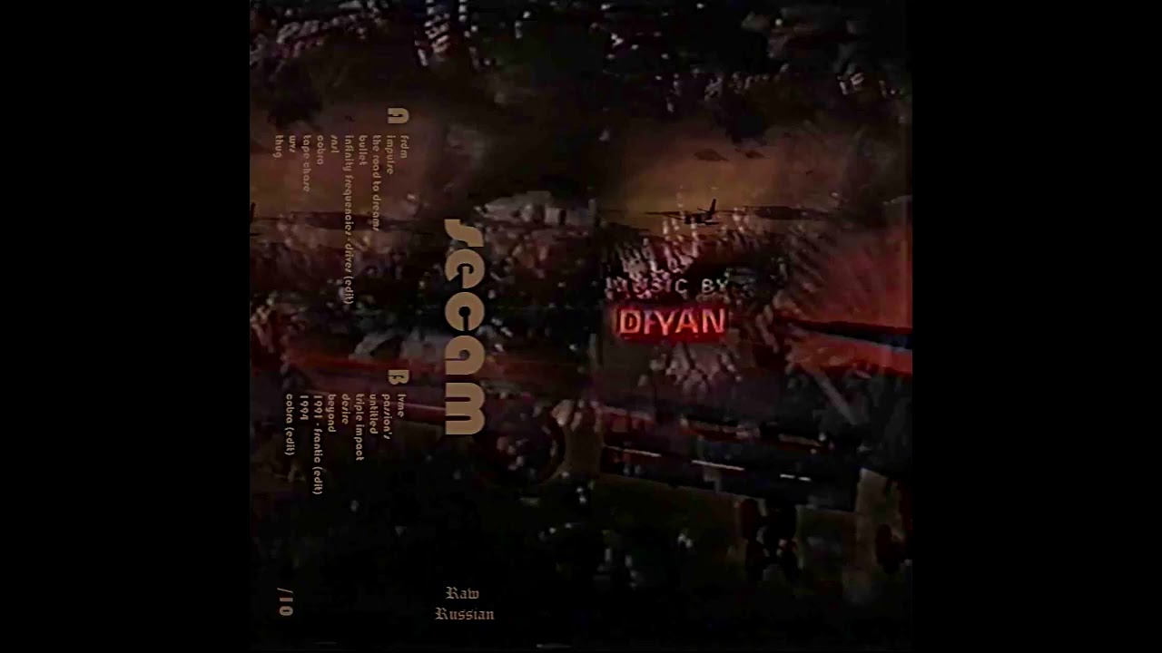 dfyan - wvs
