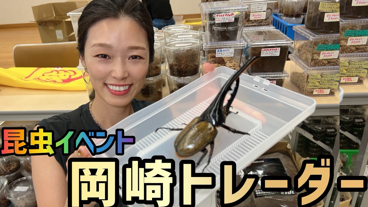 【昆虫イベント】岡崎トレーダーに行ってきました