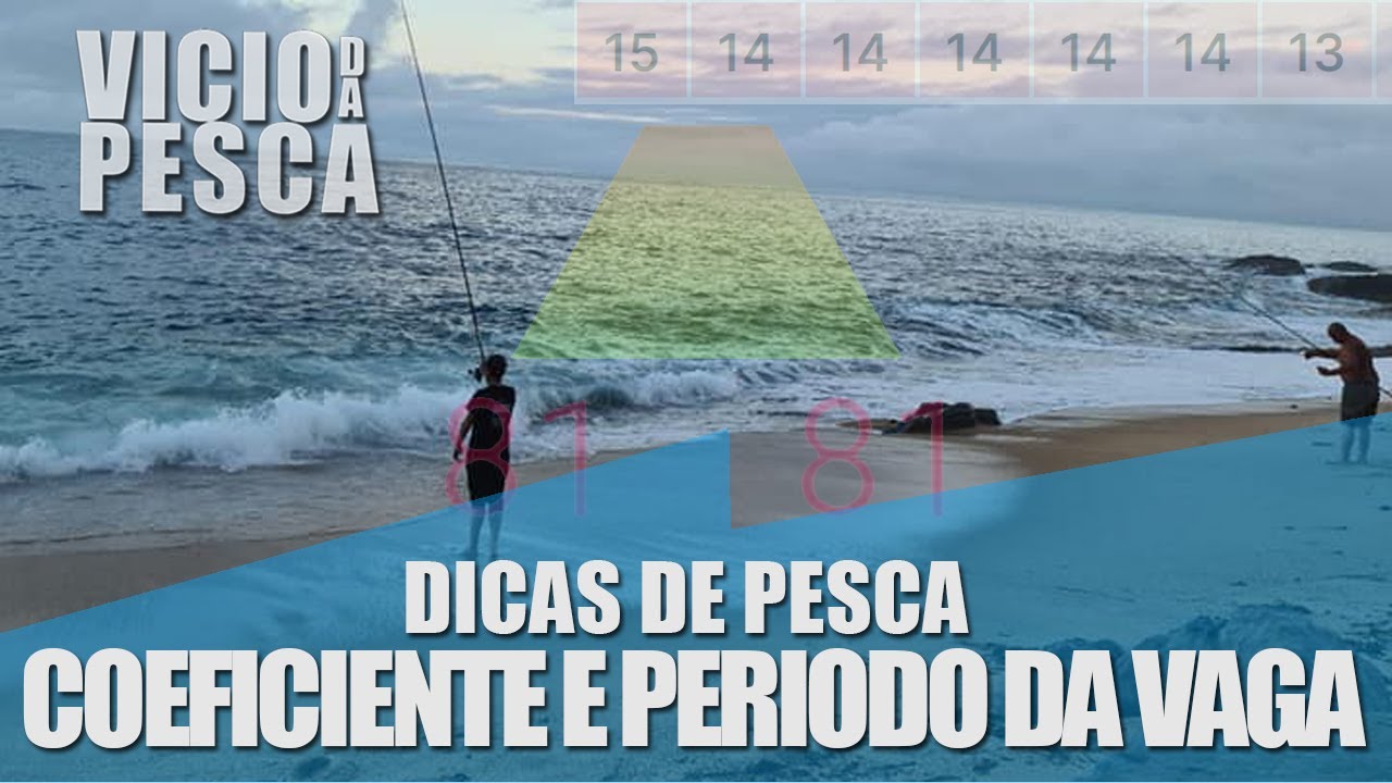 O QUE É O COEFICIENTE DAS MARES E O PERÍODO DA VAGA - DICA #5 #PESCA #SARGOS #FISHINGLIFE