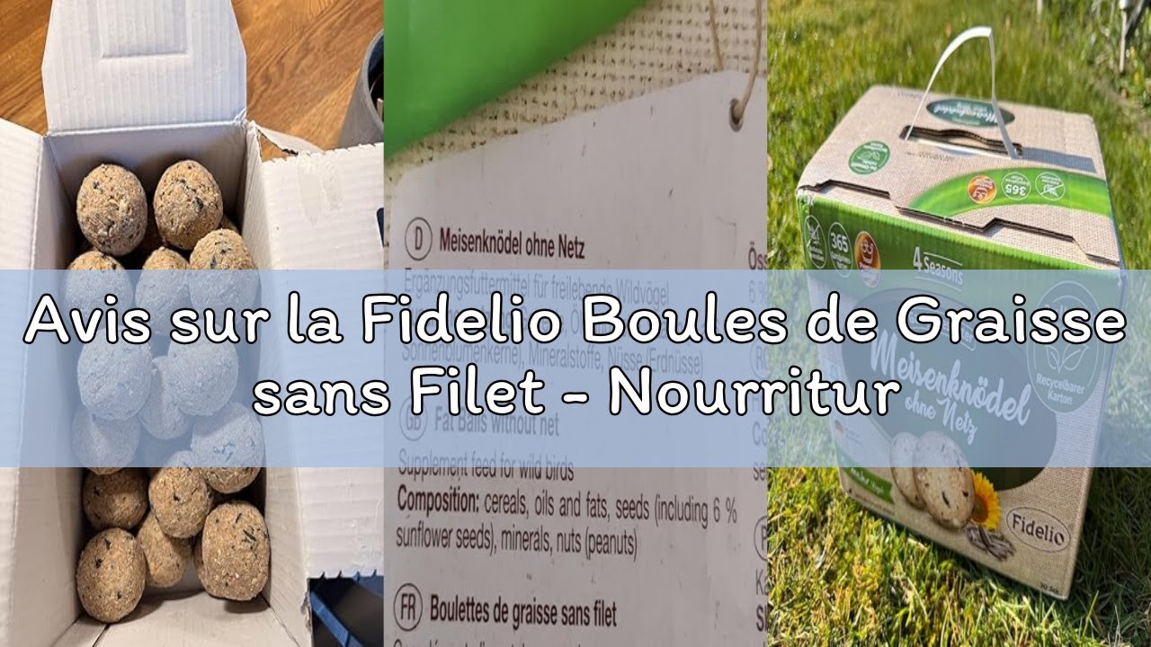 Avis sur la Fidelio Boules de Graisse sans Filet - Nourriture pour Oiseaux Sauvages Toute l'année -