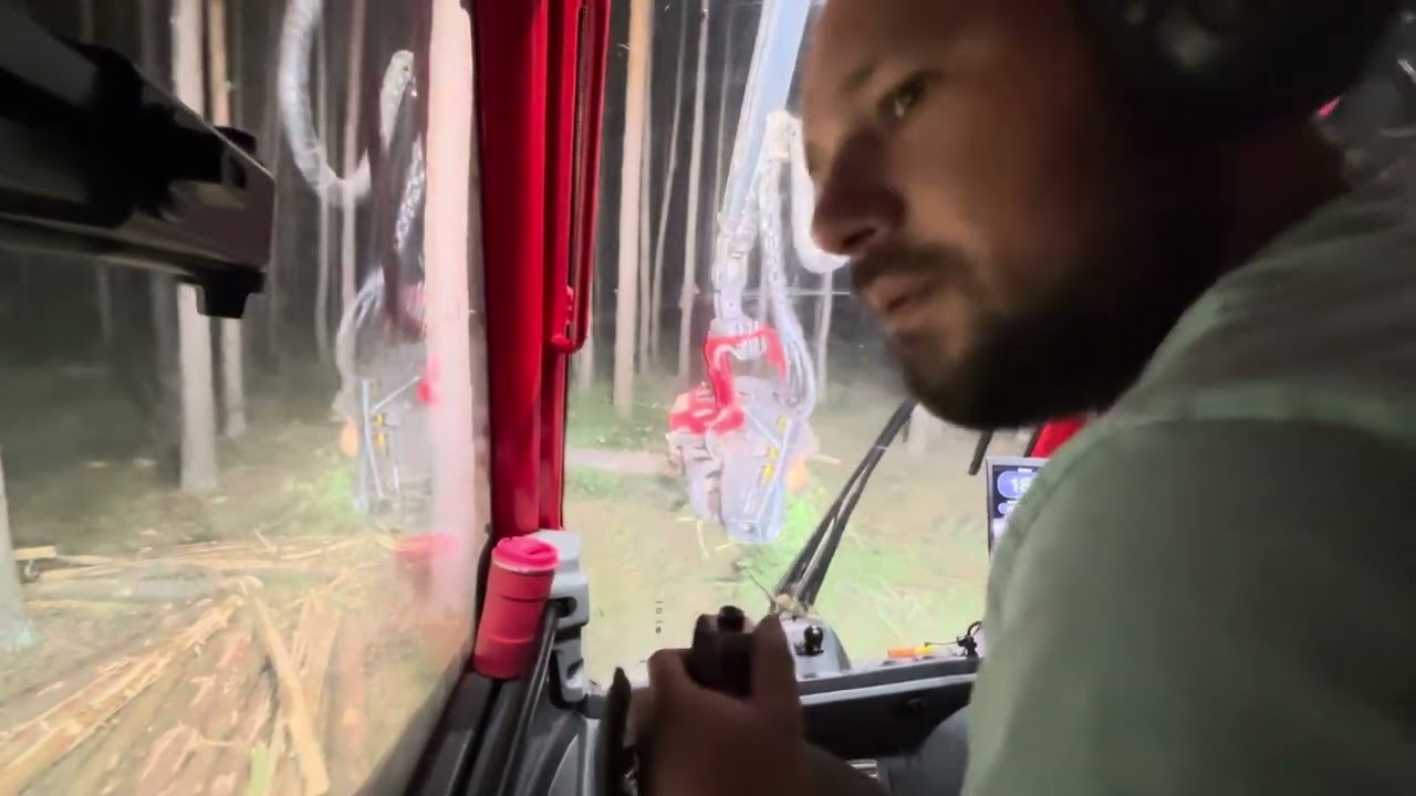 Nocny vlog: Jak wyciąłem 7 hektarów nie swojej trzebieży…