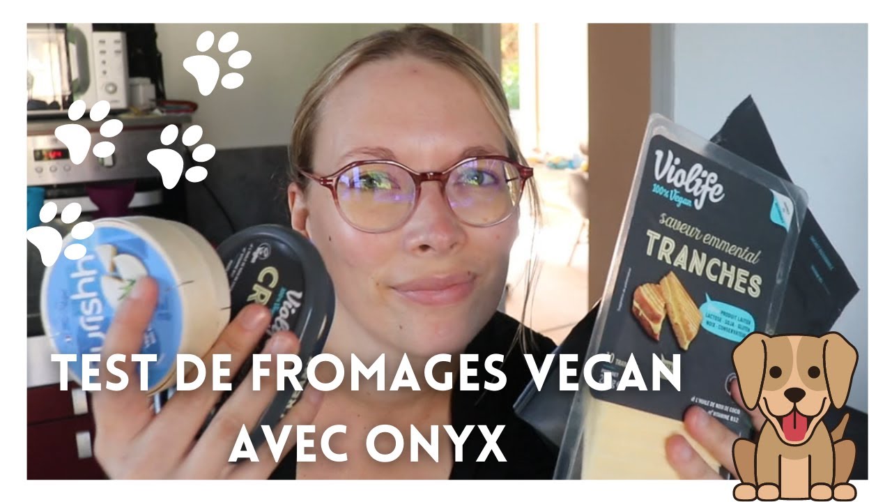 Fromage vegan test  N°2