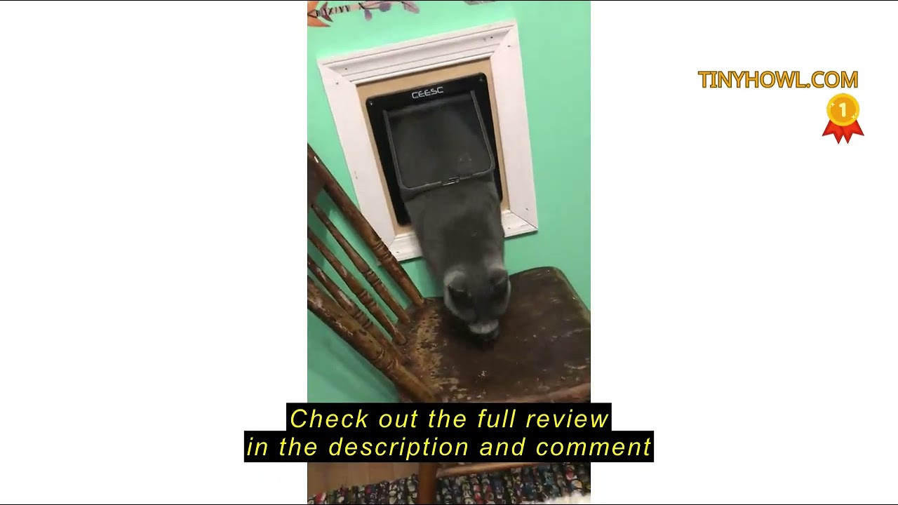 Review CEESC Medium Cat Door for Interior/Exterior Door, Weatherproof, White, Rotary 4 Way Locking P