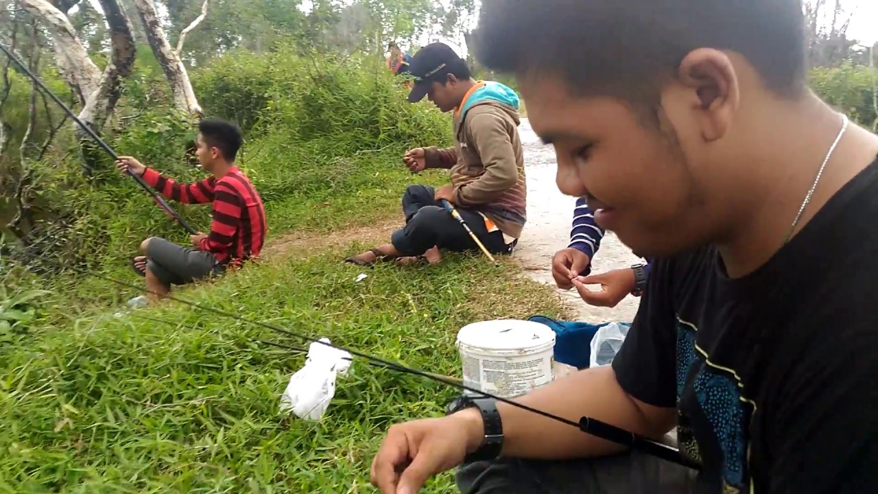 Mancing Papuyu Banjarmasin, Ikan Betok Besar