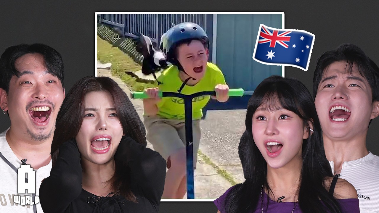 Koreans React to 
