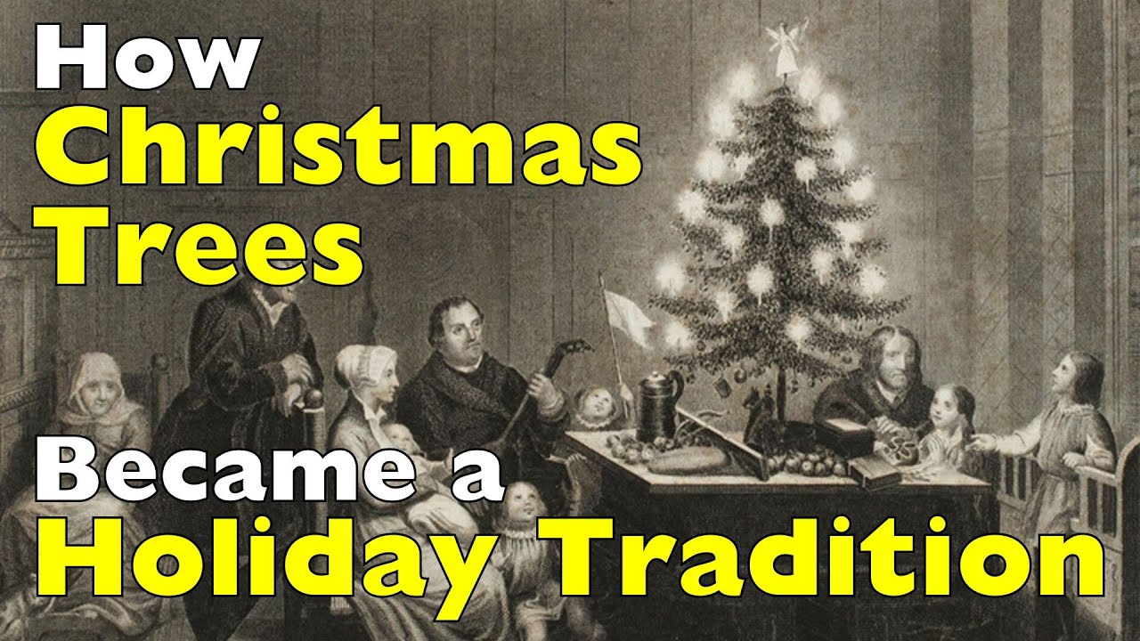 How Christmas Trees Became a Holiday Tradition