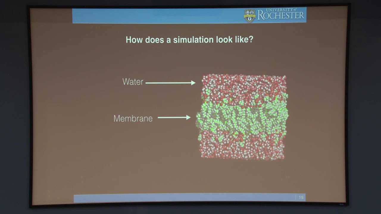 Research Techniques Molecular Dynamics Similations