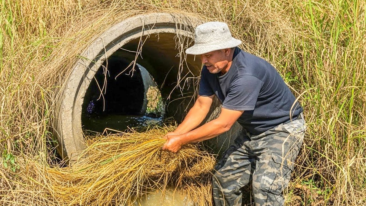 Action Remove Debris Clogged Culvert Drain In Canal To Farm