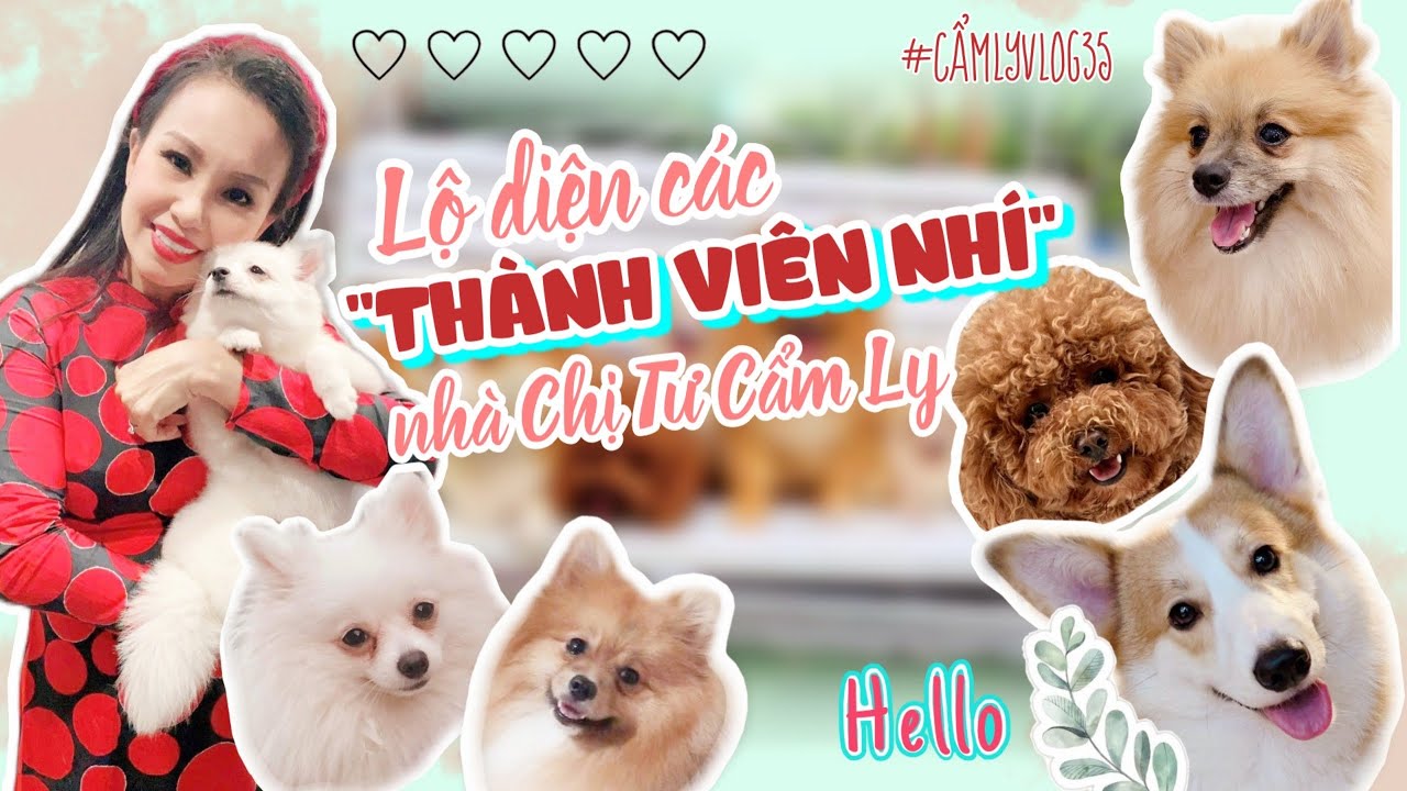 Vlog #35 | Lộ diện các 